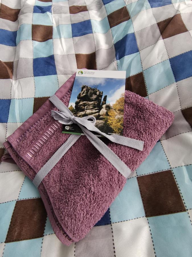 Apartament Milka W Dusznikach Zdroju ドゥシュニキ・ズドルイ エクステリア 写真