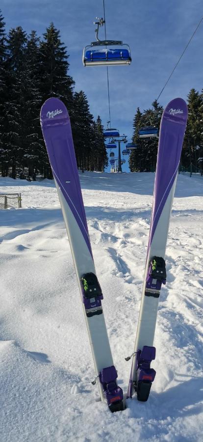 Apartament Milka W Dusznikach Zdroju ドゥシュニキ・ズドルイ エクステリア 写真