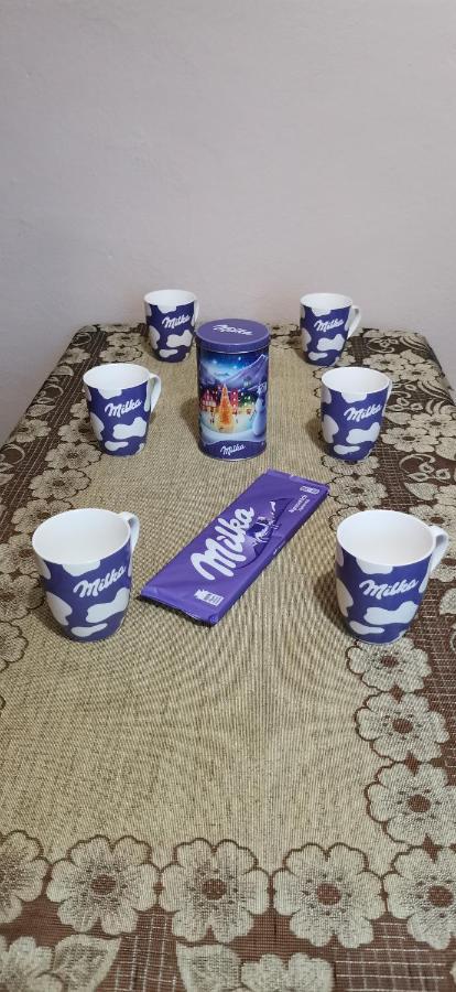 Apartament Milka W Dusznikach Zdroju ドゥシュニキ・ズドルイ エクステリア 写真