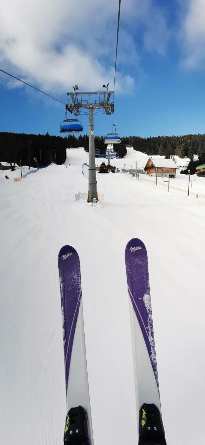 Apartament Milka W Dusznikach Zdroju ドゥシュニキ・ズドルイ エクステリア 写真
