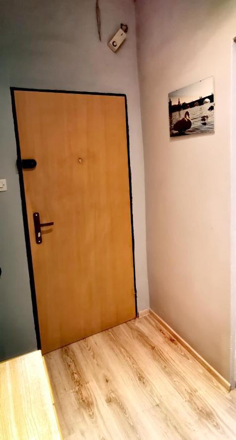 Apartament Milka W Dusznikach Zdroju ドゥシュニキ・ズドルイ エクステリア 写真