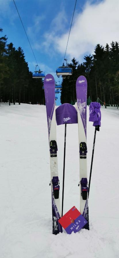 Apartament Milka W Dusznikach Zdroju ドゥシュニキ・ズドルイ エクステリア 写真