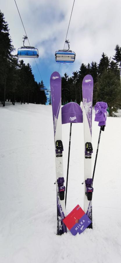 Apartament Milka W Dusznikach Zdroju ドゥシュニキ・ズドルイ エクステリア 写真