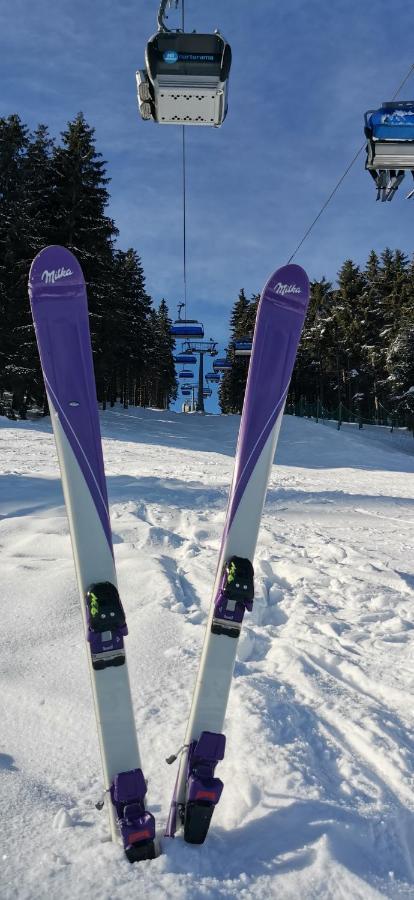 Apartament Milka W Dusznikach Zdroju ドゥシュニキ・ズドルイ エクステリア 写真