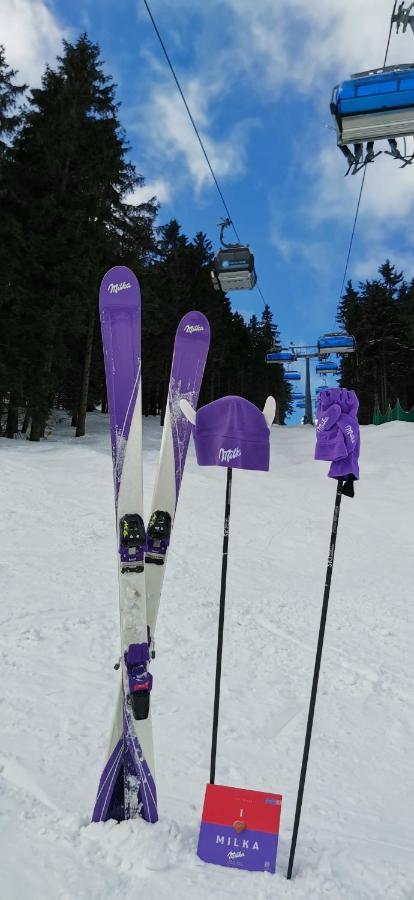 Apartament Milka W Dusznikach Zdroju ドゥシュニキ・ズドルイ エクステリア 写真