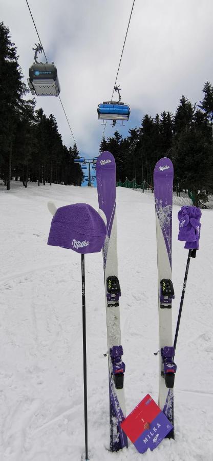 Apartament Milka W Dusznikach Zdroju ドゥシュニキ・ズドルイ エクステリア 写真