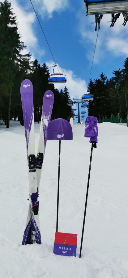 Apartament Milka W Dusznikach Zdroju ドゥシュニキ・ズドルイ エクステリア 写真